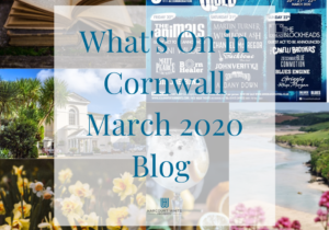 Facebook post March 2020 Blog blue centred