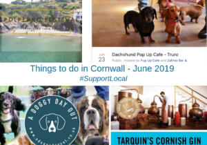Things to do in Cornwall - June 2019
